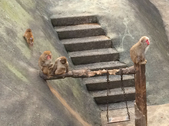 画像:稲佐山公園の野外ステージ